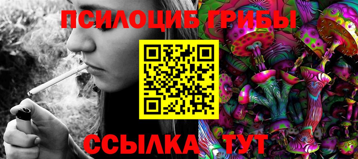 Симферополь  Псилоцибиновые грибы MAGIC MUSHROOMS  Вход с VPN 