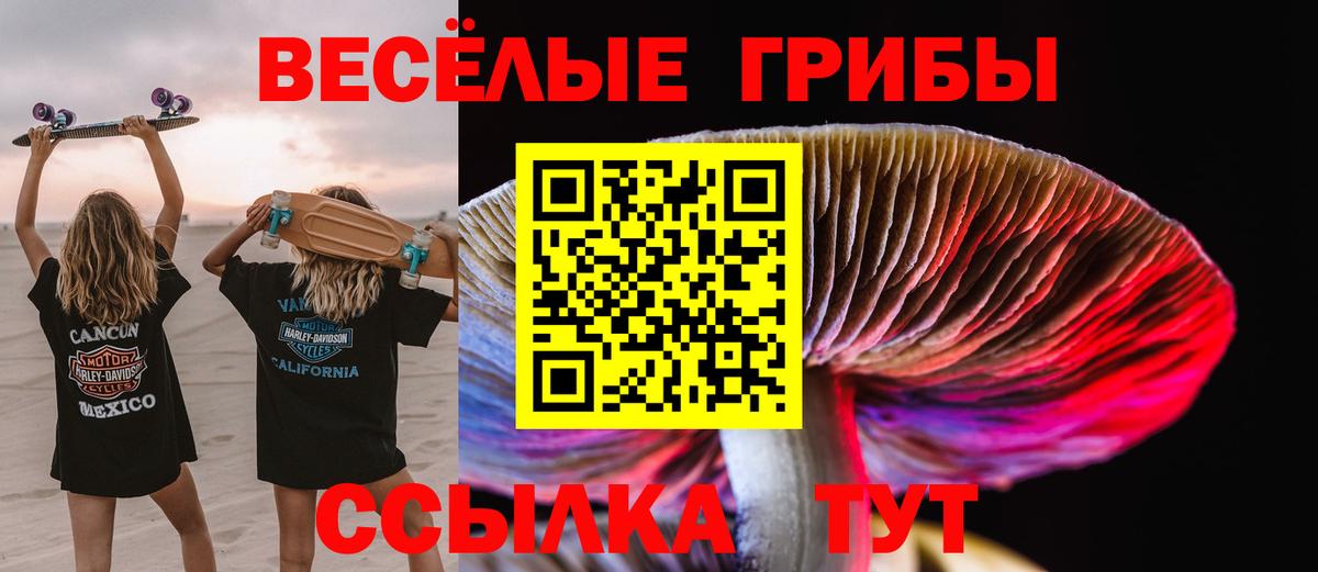 Галлюциногенные грибы Magic Shrooms Симферополь
